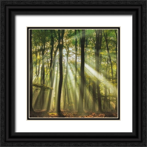 Haaksma, Piet 26x26 Black Ornate Wood Framed with Double Matting Museum Art Print Titled - Sunny start to the day