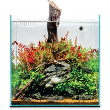 Ultum Nature Systems Rimless All in One Aquarium - Cube Fish Tank, Freshwater AIO Aquarium, Rimless Fish Tank w/Triple-Chamber Filter & White Background - 7 Gallon - 11.81" x 11.81" x 11.81" - 30A
