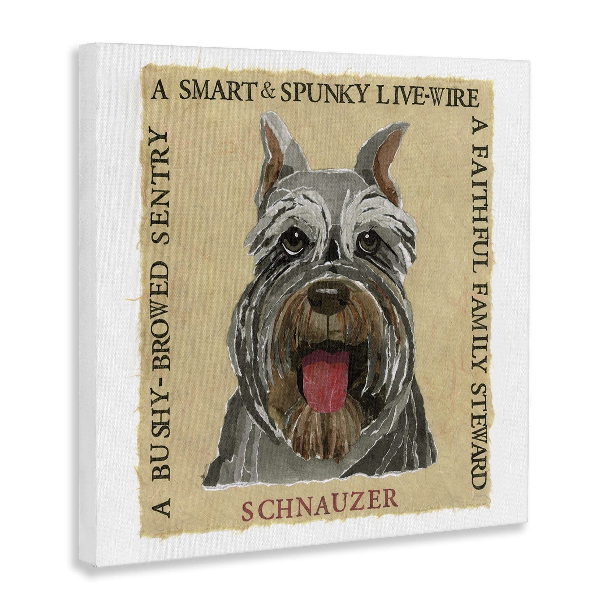 Stupell Industries Fun Schnauzer Pet Phrases Animals Painting Wrapped Canvas Art Print Wall Art, 36 x 36