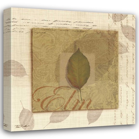 Tandi Venter 15x15 Gallery Wrapped Canvas Wall Art Titled - Elm