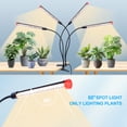 thumbnail image 4 of Luz de cultivo LED FECiDA 2026 de 36 W, 4 cabezales, clip con temporizador, 4 of 9