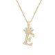 thumbnail image 2 of Guardurnaity InitialNecklacePendantEnglish Letter A to Z Jewellery Charm Chain Crystal Valentine'sDay Birthday Modern Ropa, zapatos y accesorios Miscelánea mi 1, 2 of 6