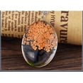 thumbnail image 4 of Dried Flower Oval Tree Butterfly Pendant Necklace Women Ginger Lyne Collection, 4 of 5