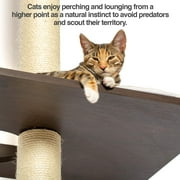 The Ultimate Cat Climber