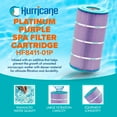 thumbnail image 2 of Hurricane Filters HF8411 Platinum Purple Spa Filter Cartridge Replacement (4 Pack), 2 of 7