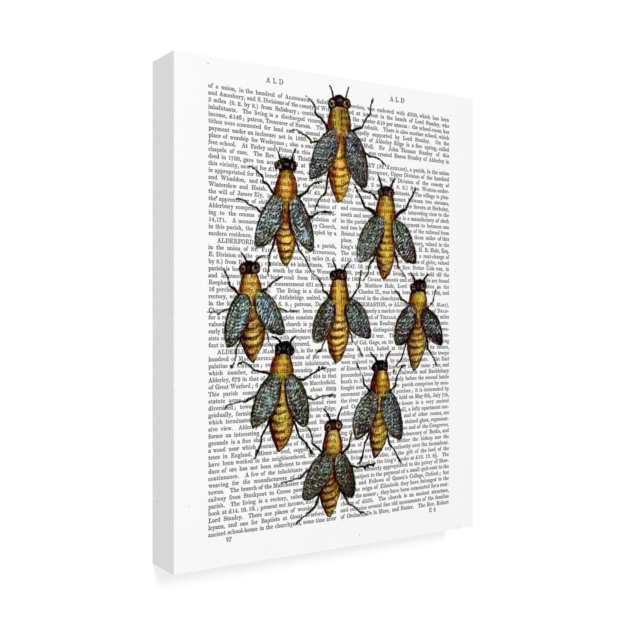 Trademark Fine Art 'Medieval Bees' Canvas Art by Fab Funky