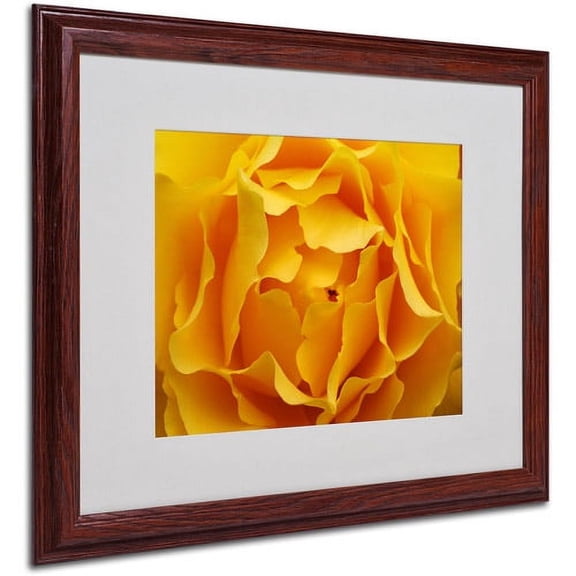 Trademark Art 'Hypnotic Yellow Rose' Matted Framed Art by Kurt Shaffer