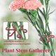 thumbnail image 5 of Reutilizable Planta Tallo Plegable Herramientas de Jardinería Stakeless Vine Soporte Planta Madre Soporte Rojo, 5 of 5