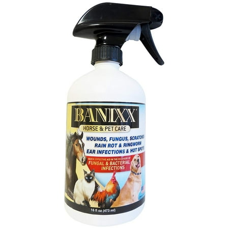 Banixx Horse and Pet Care 32 oz, Scratches, Infections, Fungus, Rain Rot, Cuts & Punctures, Thrush, Dog Hot Spots and Ear Infections & Ringworm By