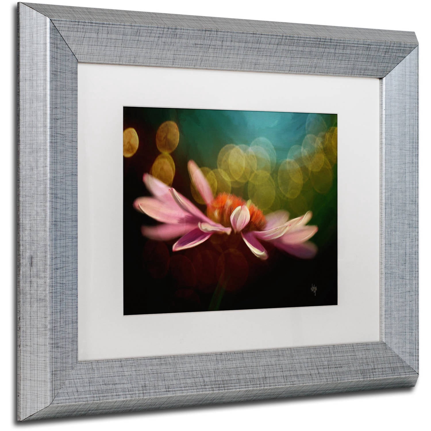 Trademark Fine Art "The Secret World of Coneflowers" Canvas Art by Lois Bryan White Matte, Silver Frame