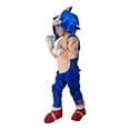 thumbnail image 4 of Disfraz Cosplay Tipo Sonic Boom Superheroe Erizo, 4 of 6