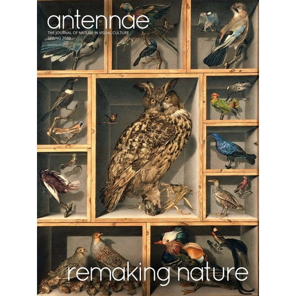 Antennae #50 Remaking Nature, (Paperback)
