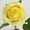 Yellow, variant on Bcylexb 19.7" Imitation Rose Flowers for Valentine's Day, Artificial Bloom with Stem for Display, Gift Fake Flowers Decor for Home, Wedding or Party, Beige