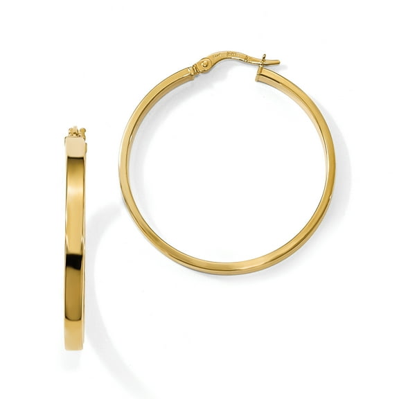 14k Gold Polished Earrings