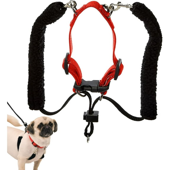 Sporn Training Dog Halter, Red, Medium (12-17" Neck Size)