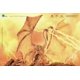 thumbnail image 3 of Figura de acción Hiya Toys Godzilla King Ghidorah 35 cm, 3 of 9