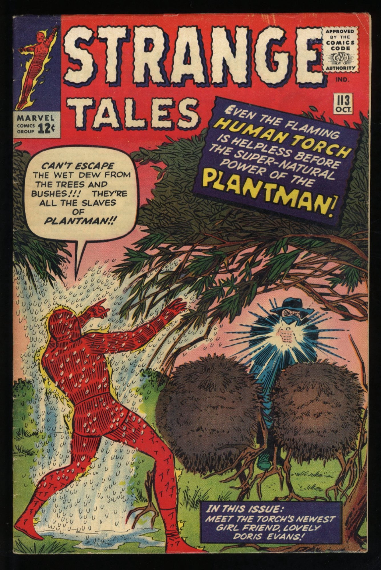 Cover of Strange Tales #113