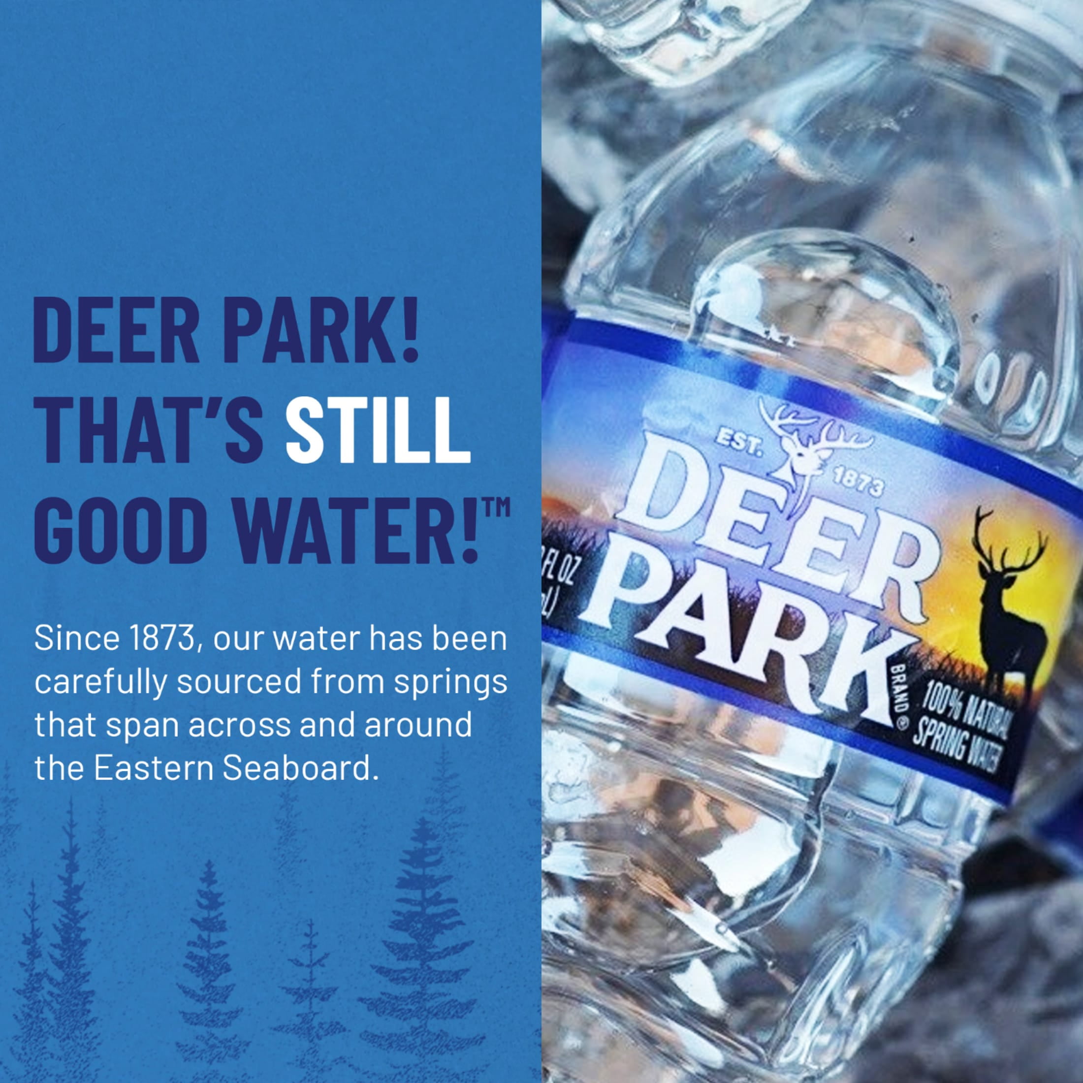 Deer Park Spring Water, 12 fl oz, 12-pack Plastic Bottles