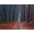 thumbnail image 3 of Póster de lienzo con decoración de otoño, hojas amarillas, vista de otoño, arte de pared, impresión, pintura de puente, imagen de Halloween, decoración del hogar para sala de estar, 3 of 5