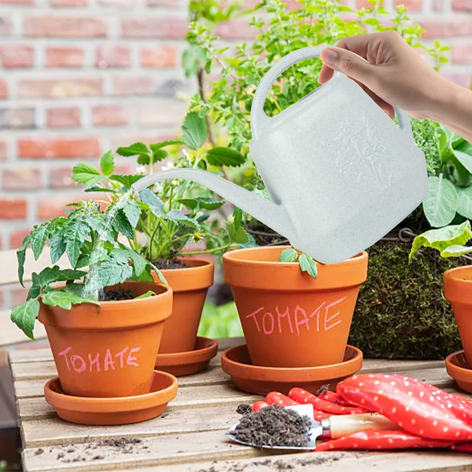 Birdeem Arrosoir 1 Gallon Long Bec Arrosoir Motifs Floraux Arrosoir Intérieur Avec Poignée Arrosoir En Plastique Pour Plantes De Jardin