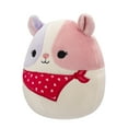 thumbnail image 4 of Squishmallows Official 5 inch Niven the Tri-Colored Guinea Pig - Child's Ultra Soft Plush Toy, 4 of 7