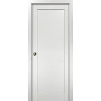Modern Pocket Door 32 x 80 with Frames