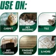 Simple Green Cat Stain & Odor Remover Enzyme Cleaner for Cat Urine