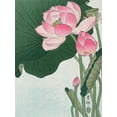 thumbnail image 2 of Koson, Ohara 19x24 White Modern Wood Framed Museum Art Print Titled - Blooming lotus flowers, 2 of 4