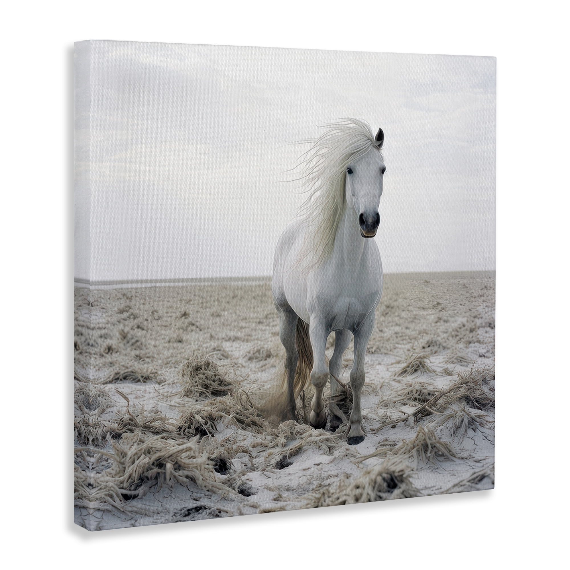 Stupell Industries Windswept Beach Horse Animals Photography Wrapped Canvas Art Print Wall Art, 24 x 24