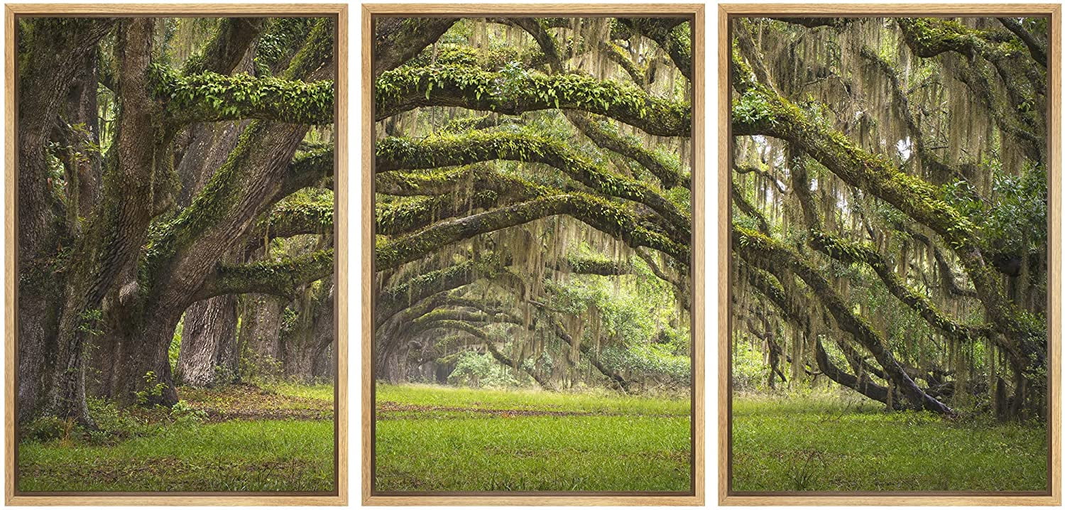 wall26 3 Piece Framed Canvas Wall Art Oaks Avenue Charleston SC
