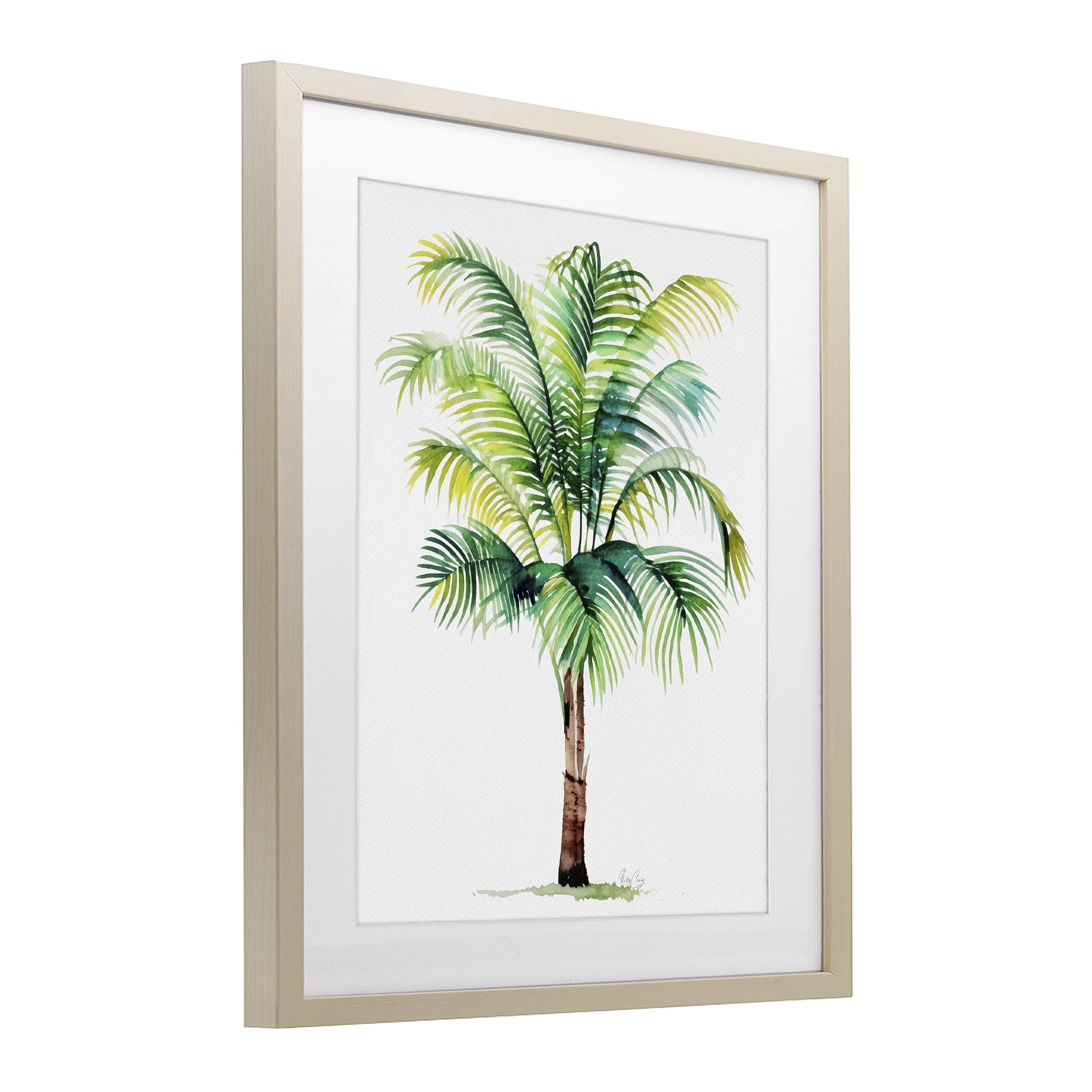 Stupell Industries Breezy Fronds Palm Birch Framed Print Under Glass, design by Shelly Craig
