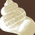 thumbnail image 2 of N Harbick 15x15 Gallery Wrapped Canvas Wall Art Titled - Natural Shell III, 2 of 4