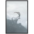 thumbnail image 3 of PixonSign Framed Canvas Print Wall Art Ram on Dark Mountain Cliff Animals Wildlife Photography Modern Art Farmhouse/Country Ultra Blue and White for Living Room, Bedroom, Office - 24"x36" Black, 3 of 5