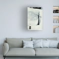 thumbnail image 2 of Trademark Fine Art Dan Hobday  Beyond Canvas Wall Art, 2 of 4