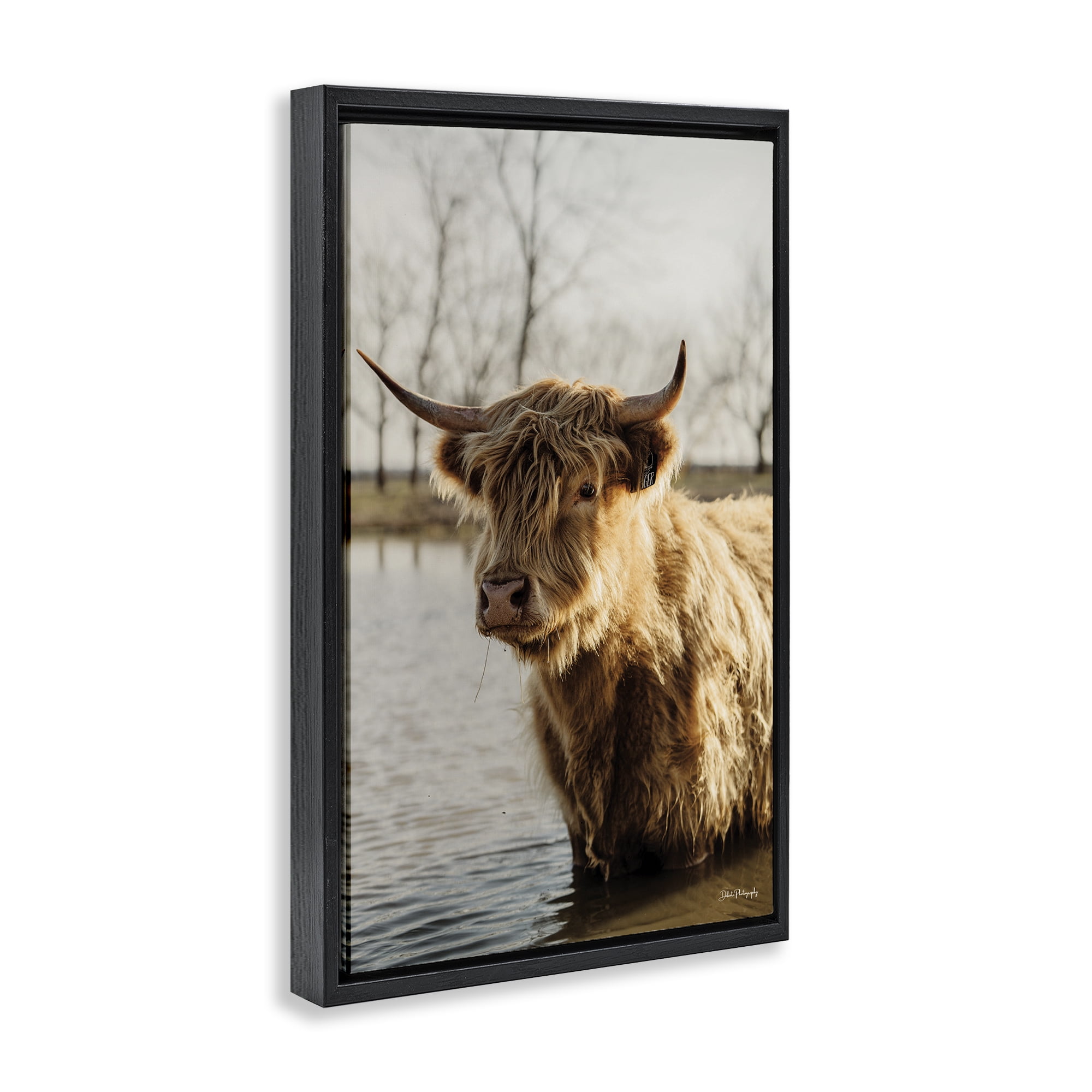 Stupell Industries Peering Cattle in Water Animals & Insects Photography Black Floater Framed Canvas Art Print Wall Art, 17 x 25
