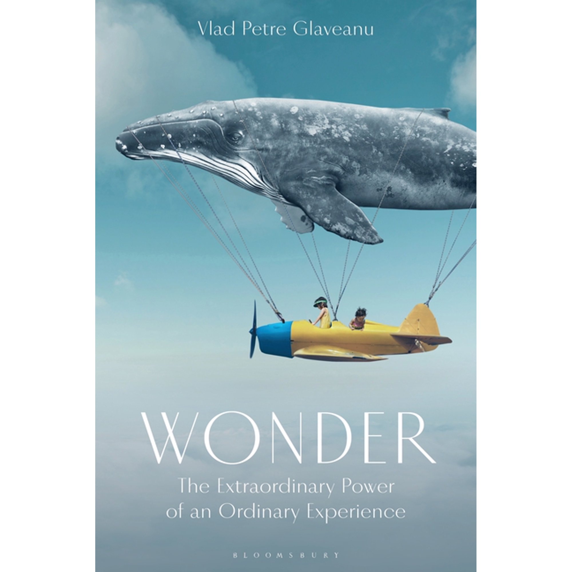 Wonder: The Extraordinary Power of an Ordinary Experience (Paperback)