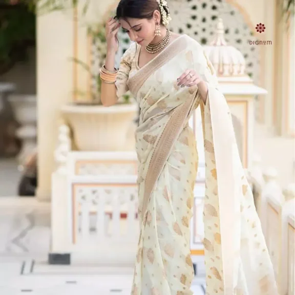 Ivory White Woven Banarasi Georgette Saree