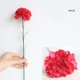 thumbnail image 4 of 18 claveles artificiales de seda de una sola rama, accesorio de fotografía para ramo, decoración del hogar y la oficina, regalo del Día de la Madre (9 blancos + 9 rojos rosas), 4 of 5