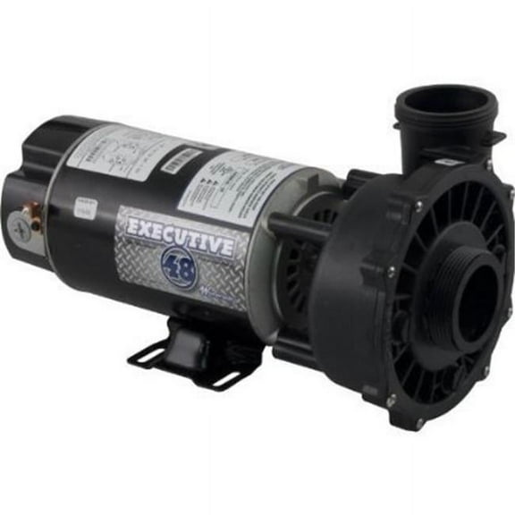 Waterway Executive 48 Frame Spa Pump 2 Speed 1.5 HP 115V 3420610-1A