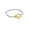Silver, variant on The Lucky Lock Horseshoe Carabiner Clasp Bracelet
