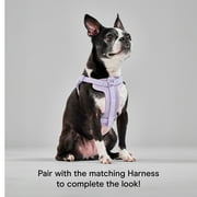 Wild One 6ft Heavy Duty Lightweight Nylon Dog Leash, Lilac