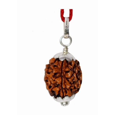 Genuine Original Natural Nepali 3 Face Rudraksh Pendant, 3 Mukhi Rudraksha Pendant