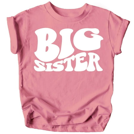 

Olive Loves Apple Big Sister Retro Wavy Matching Sibling Shirts White on Mauve Shirt 3T