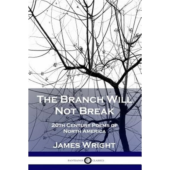 The Branch Will Not Break (Paperback)