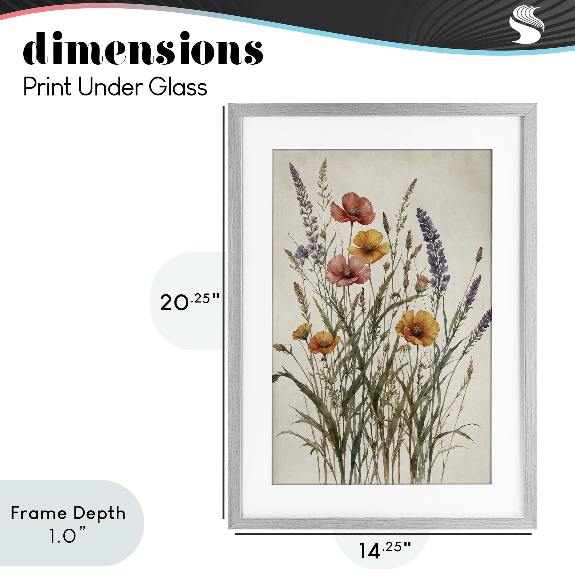 Stupell Industries Vintage Collection of Meadow Botanicals Gray Framed Print Under Glass, design by Nataly White