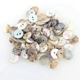 thumbnail image 4 of 100PCS/Lot 10mm Round Shell Sewing Buttons 2 Hole Button Natural Shell Buttons Color Japan Mother Of Initation Pearl Buttons, 4 of 4