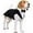 BLACK, variant on Dog Suit And Bandana Set, Dogs Tuxedo Wedding Party Suit For Large And Medium Dogs Golden