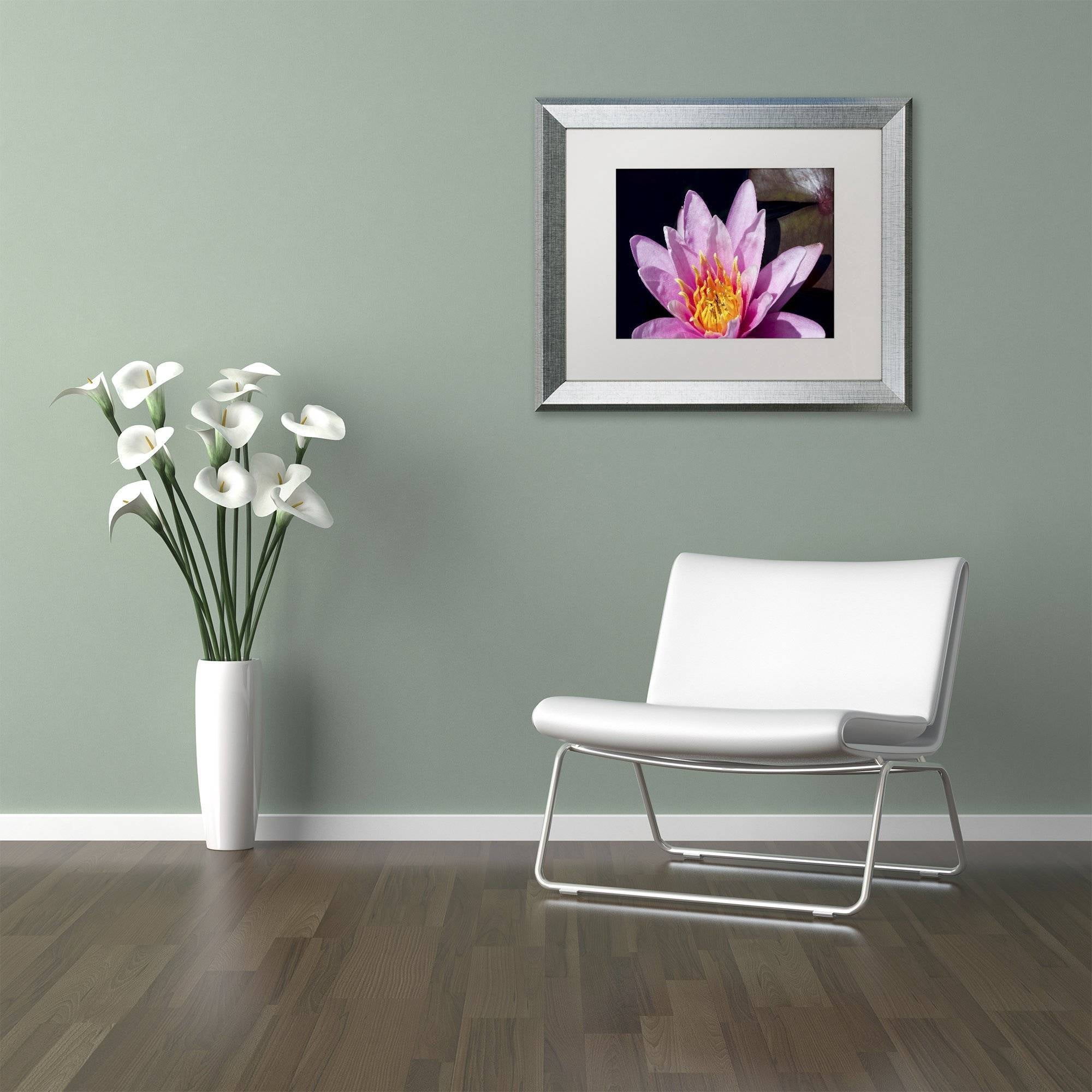 Trademark Fine Art "Pink Water Lily" Canvas Art by Kurt Shaffer, White Matte, Silver Frame