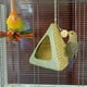 thumbnail image 1 of Zongzi Budgeria Peony Seasons General Hanging, 1 of 8