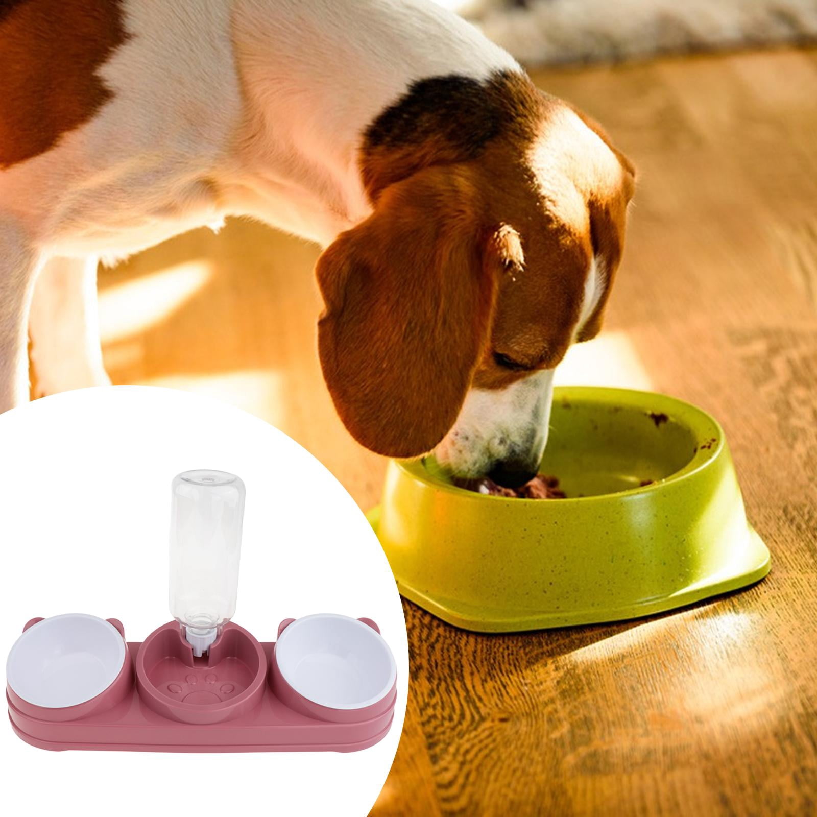 Cat Food Bowl Water Bottle Elevated Design PP Material for Feeding Indoor Kittens and Puppies